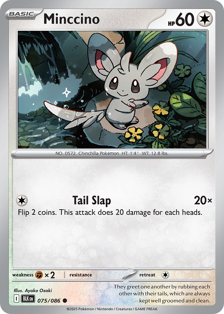 Minccino - Black Bolt