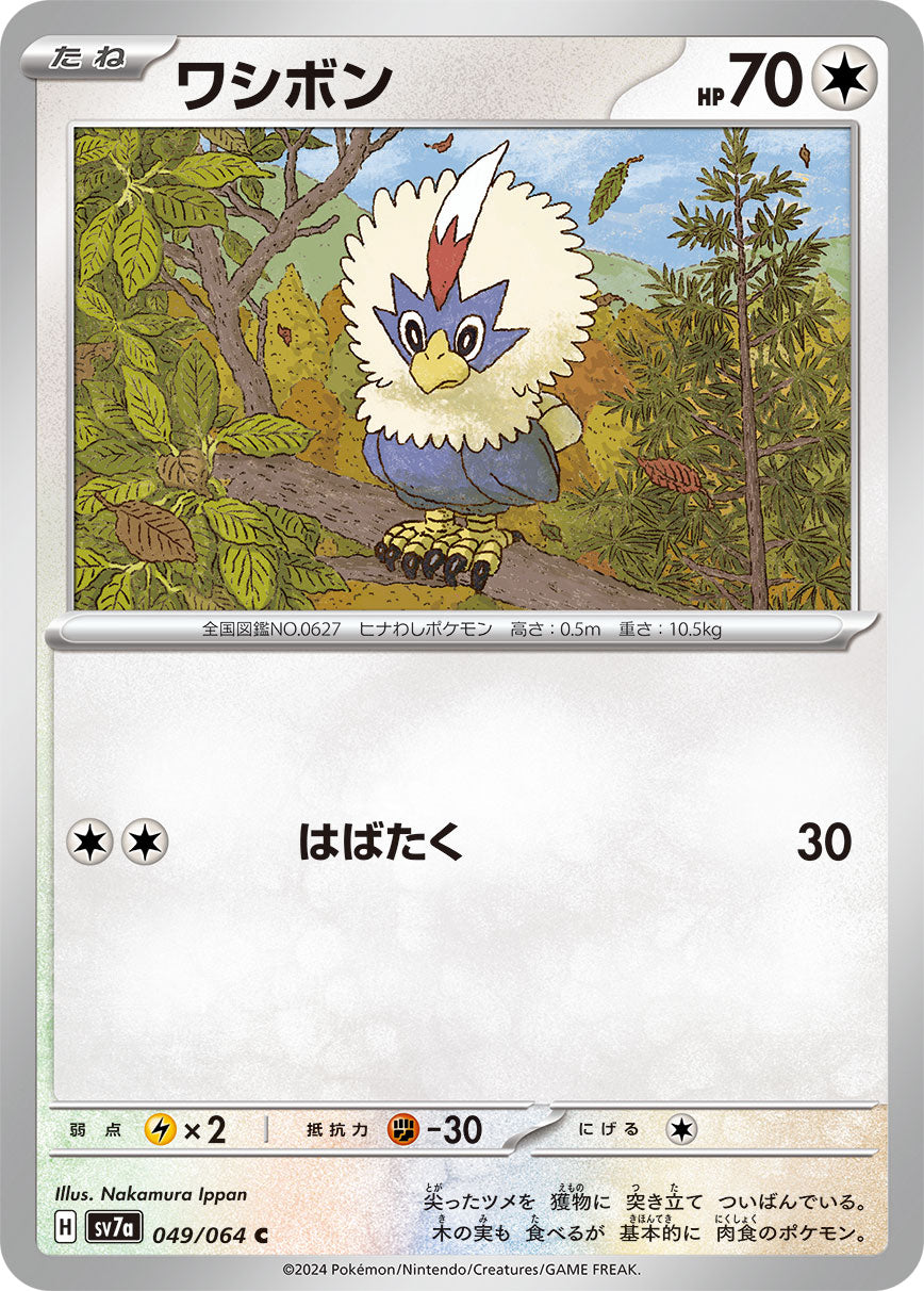 Rufflet - Paradise Dragona