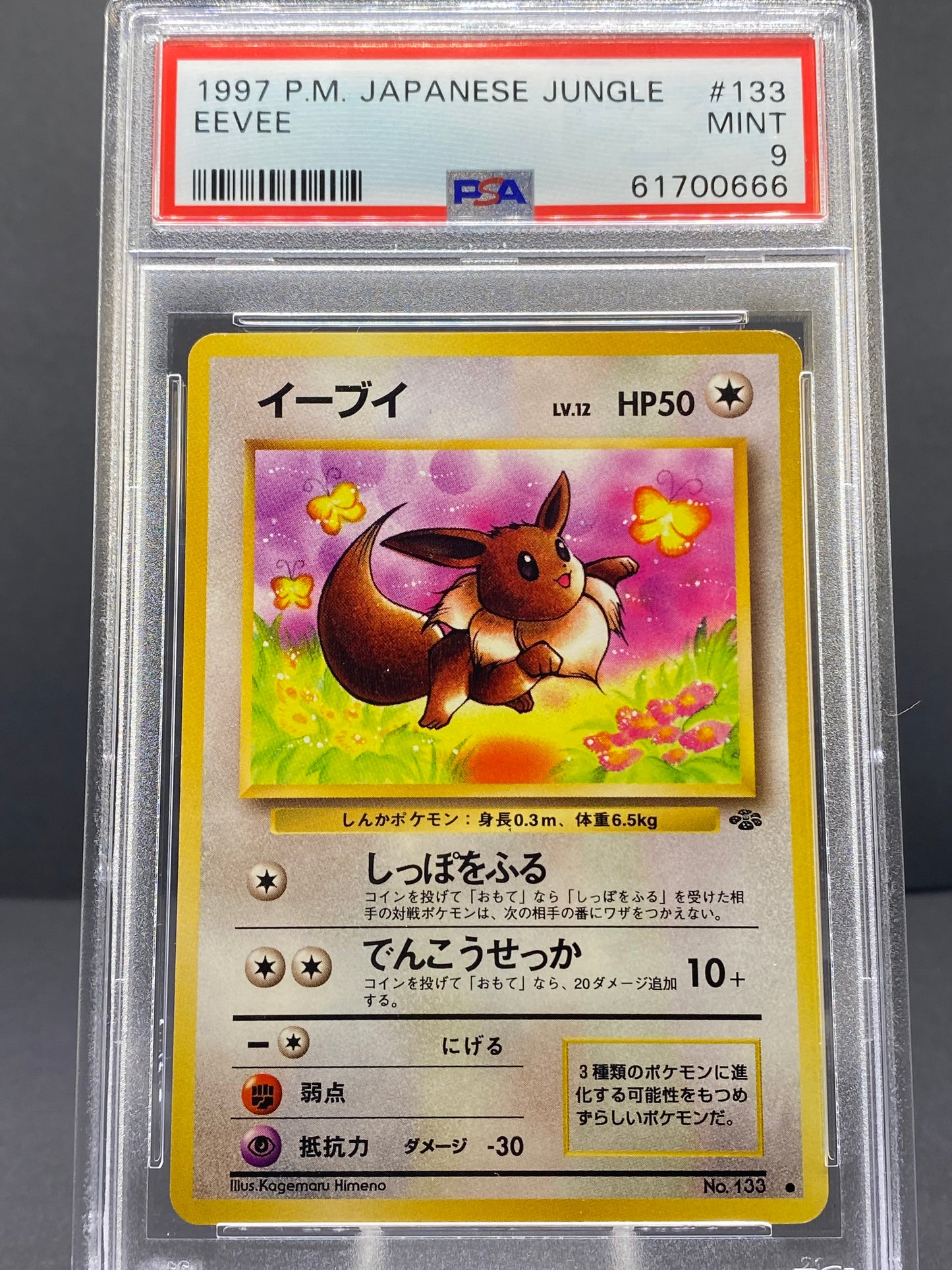 Eevee - Pokémon Jungle (Grade 9, PSA)
