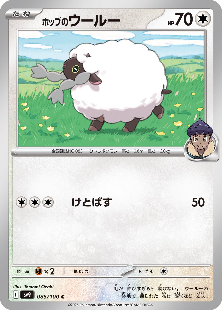 Hop's Wooloo - Battle Partners