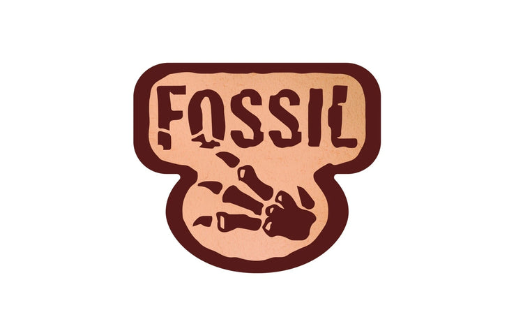 Mystery of the Fossils