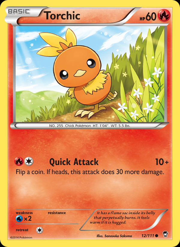 Torchic - Furious Fists