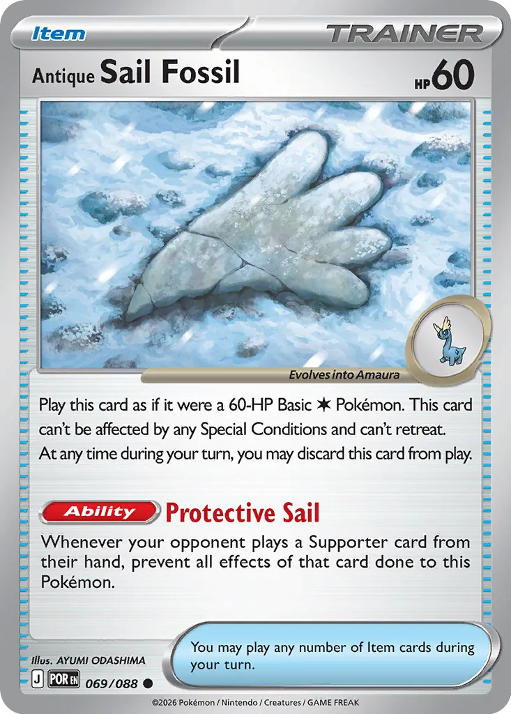 Antique Sail Fossil - Perfect Order