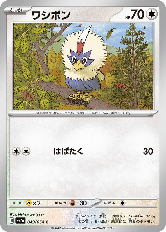 Rufflet - Paradise Dragona