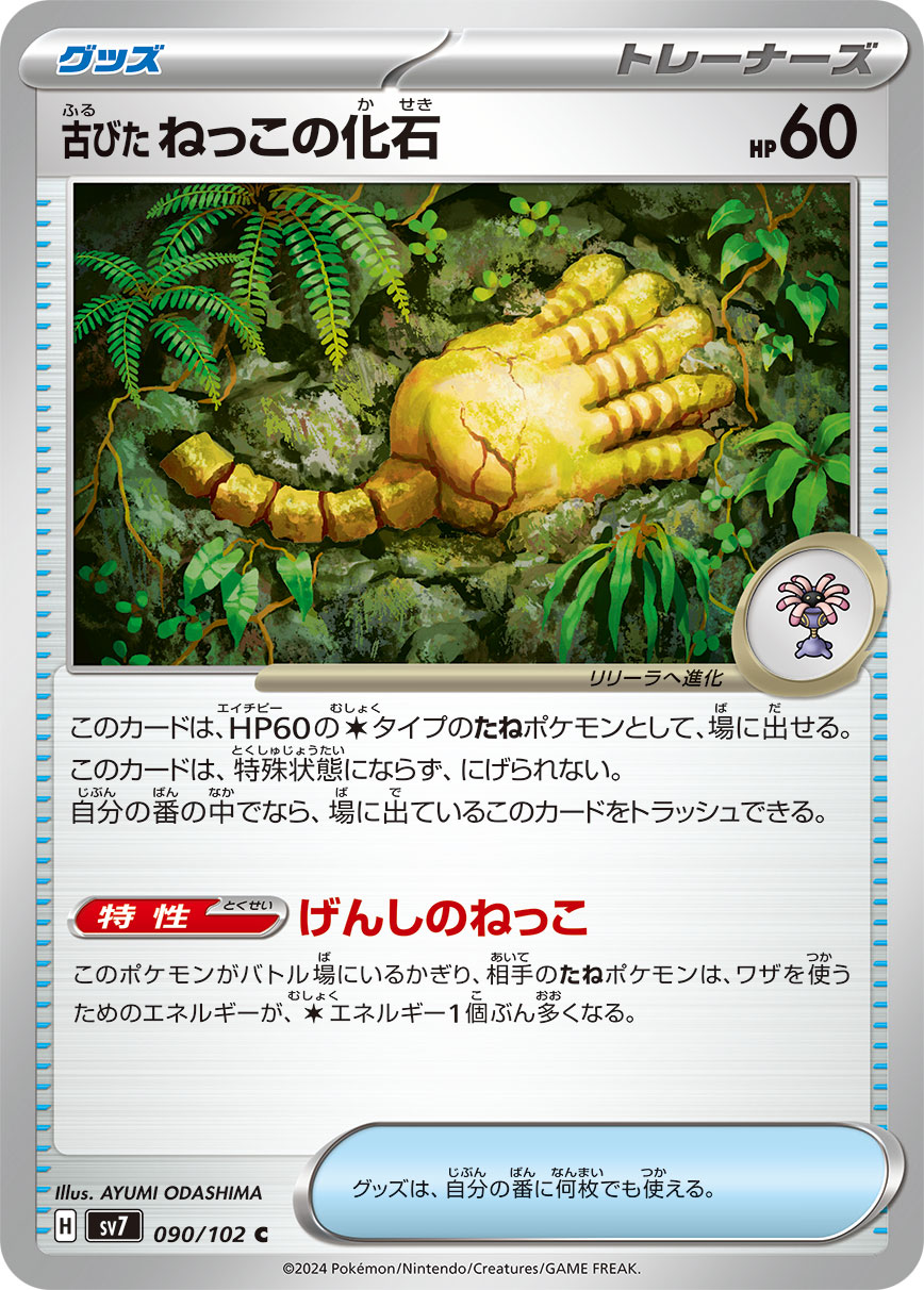 Antique Root Fossil - Stellar Miracle