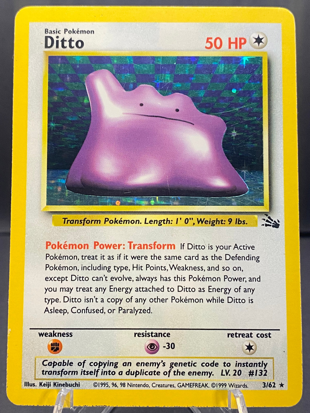Ditto Fossil
