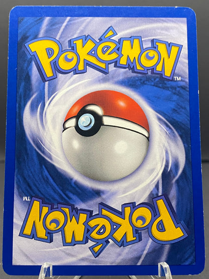 Magneton Fossil