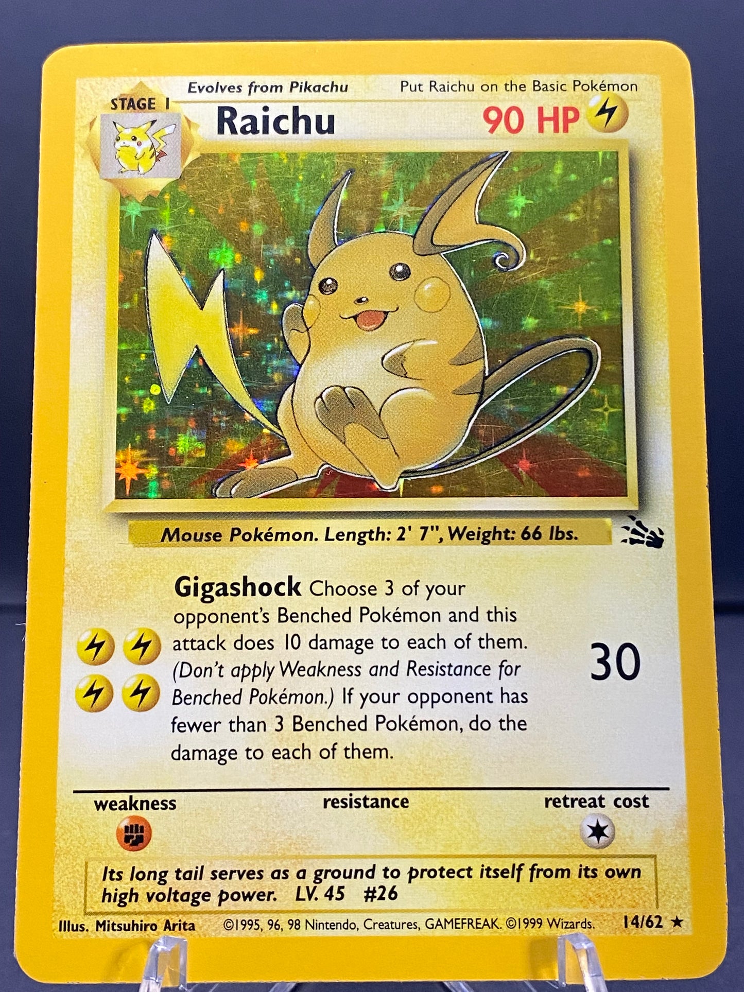 Raichu Fossil
