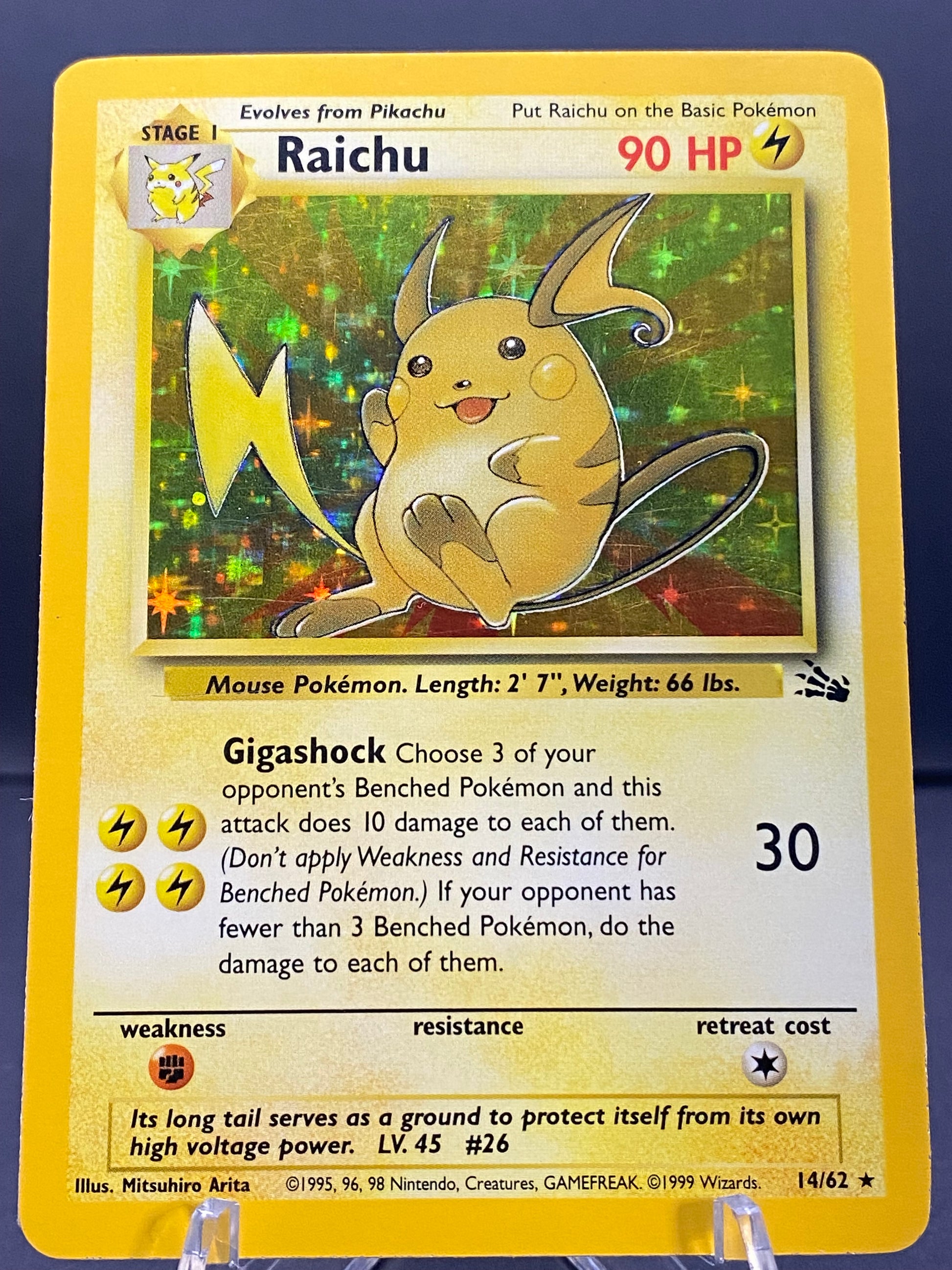 Raichu Fossil
