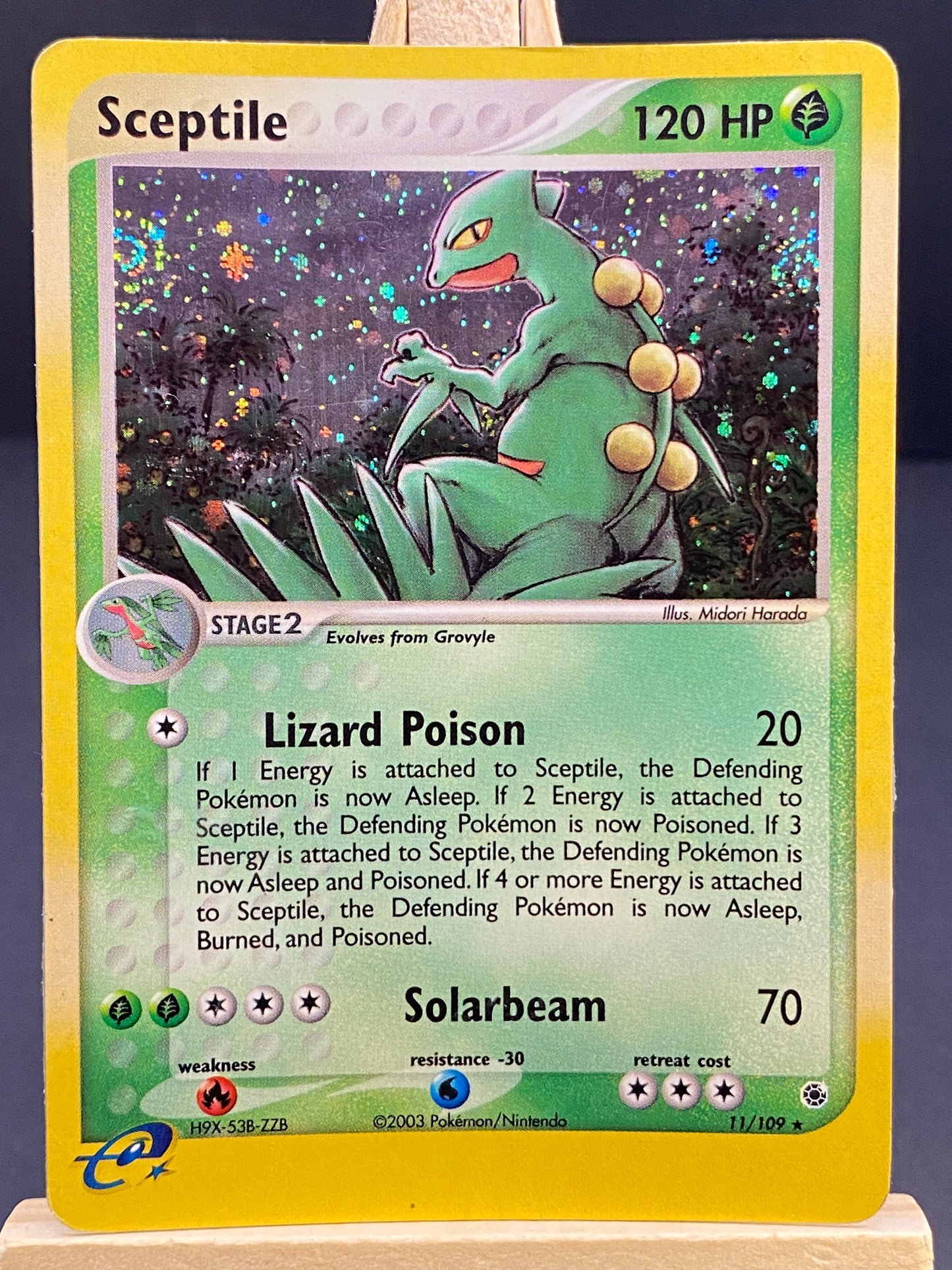 Sceptile EX Ruby & Sapphire