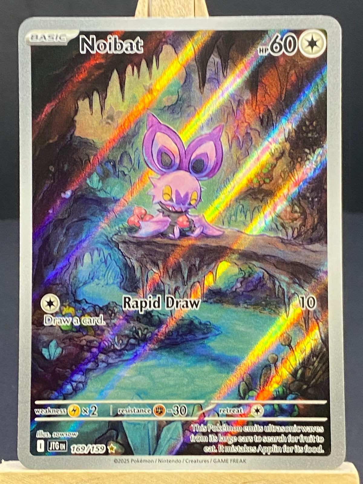 Noibat Journey Together