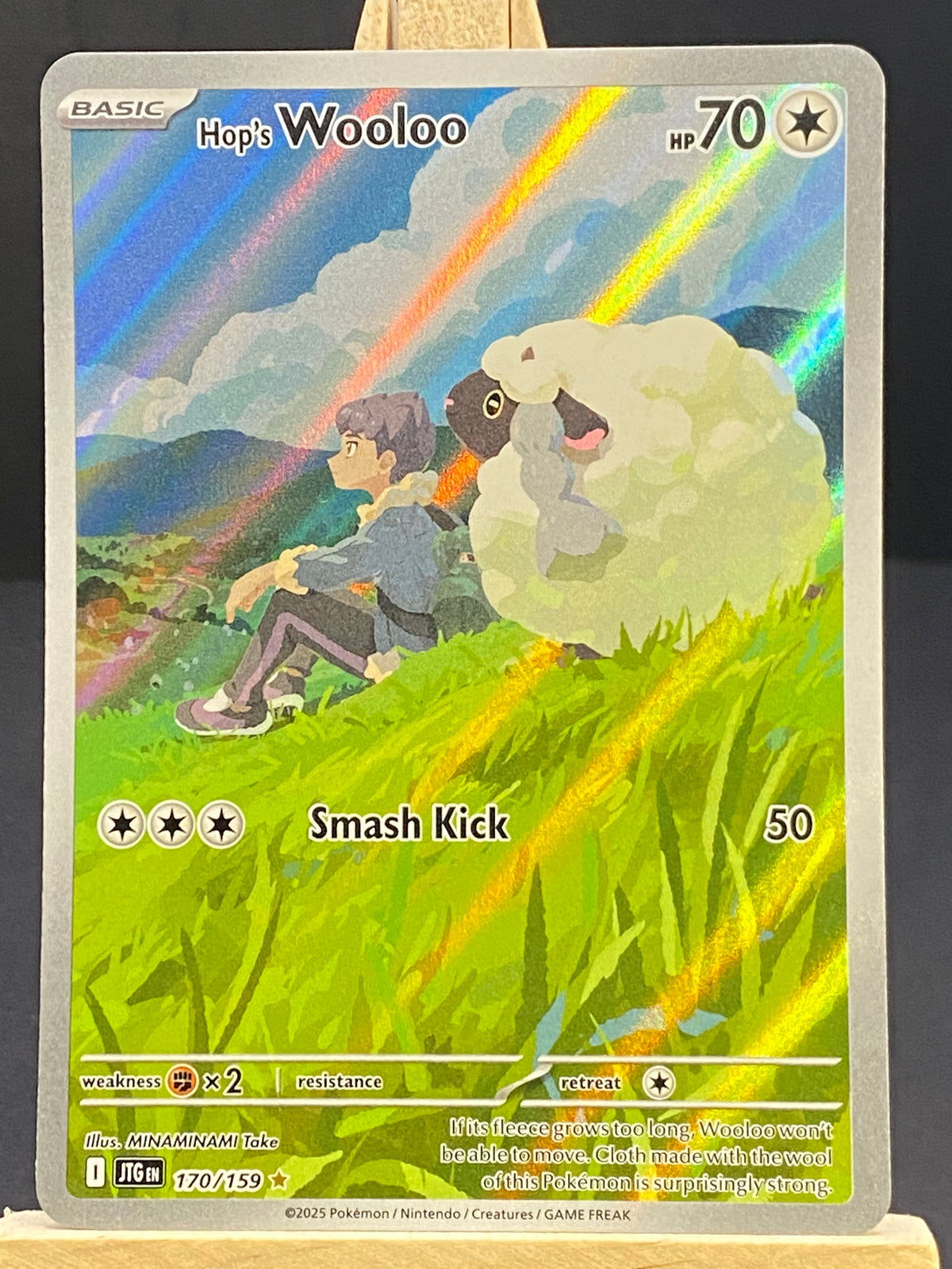 Hop's Wooloo Journey Together