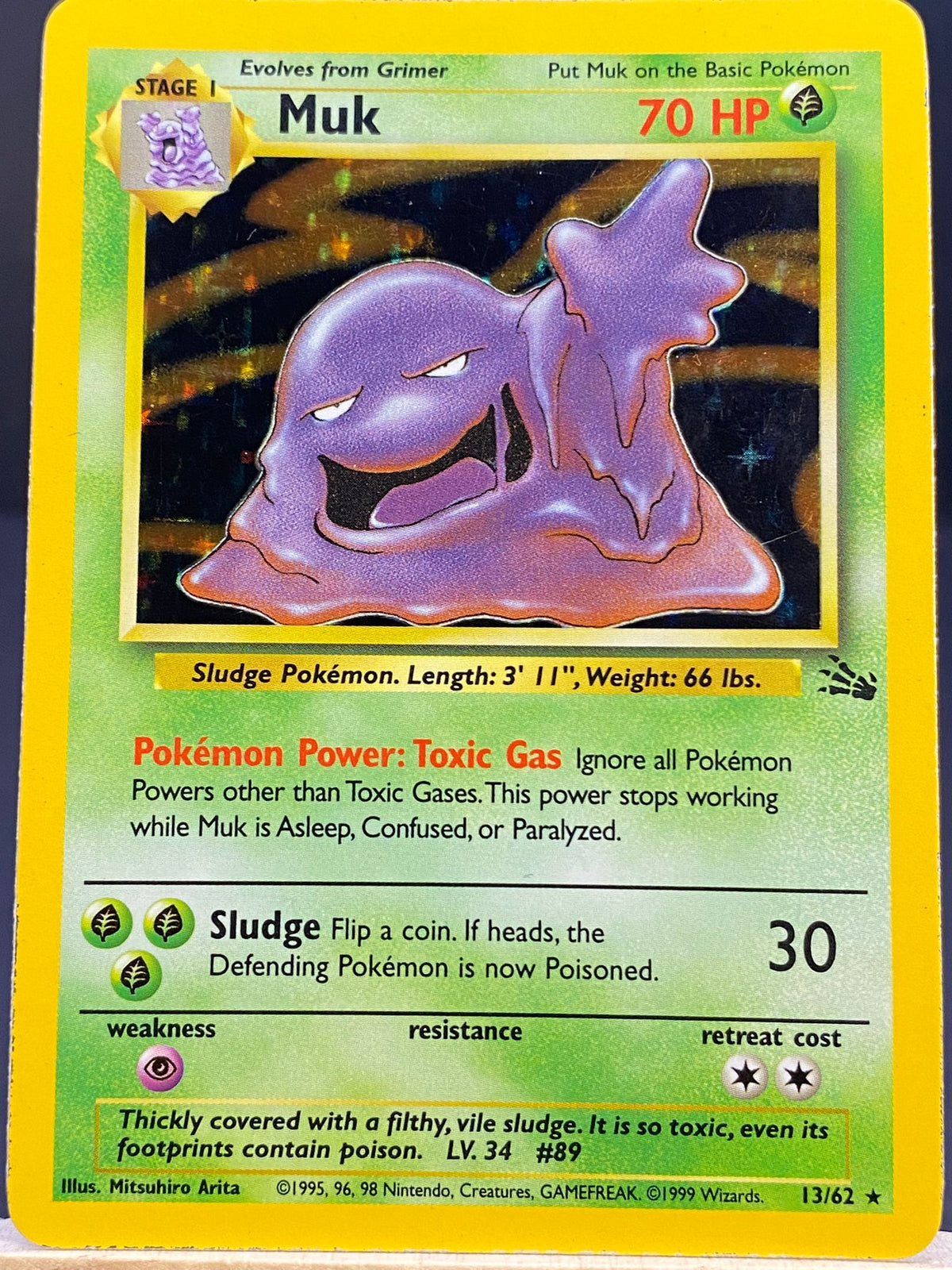 Muk Fossil