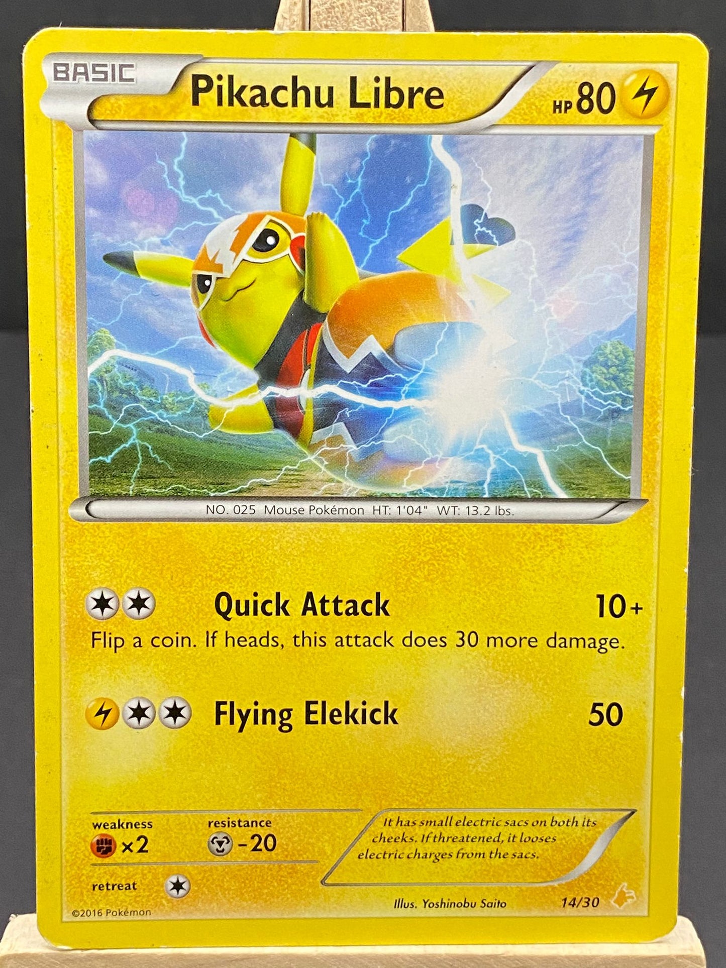 Pikachu Libre XY trainer Kit (Pikachu Libre)