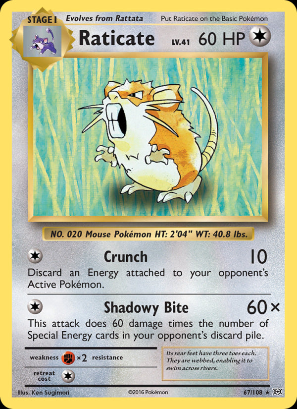 Raticate - Evolutions