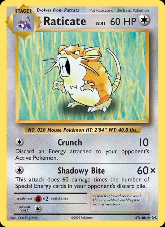 Raticate - Evolutions