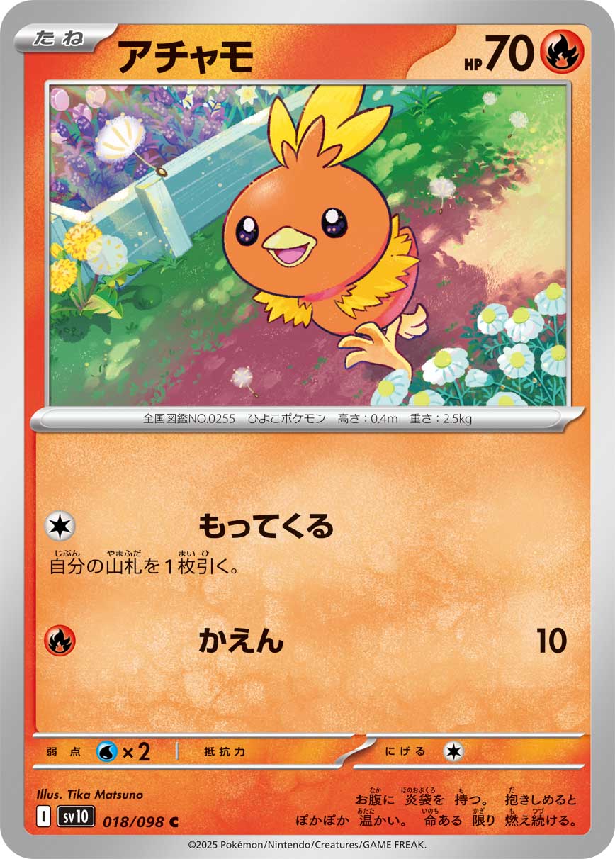 Torchic - Glory of Team Rocket